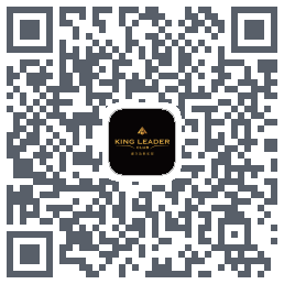 King Leader的下载二维码