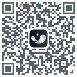 银闪闪 QRcode
