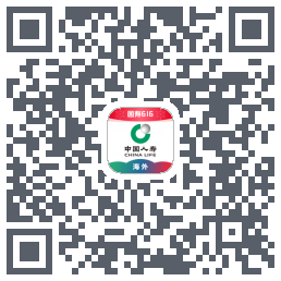 ChinaLifeFramework_Examplekod QR do pobrania