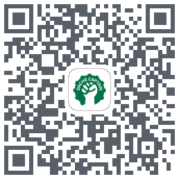 大车队长(测试) QRcode