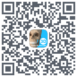 维萨里3D解剖教学kod QR do pobrania
