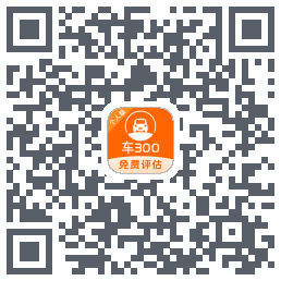 车300Download QR-Code