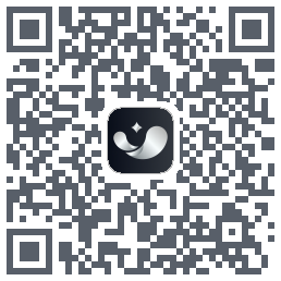 银闪闪 QRcode