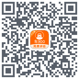 车300codice QR per il download